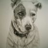 Gallery 27