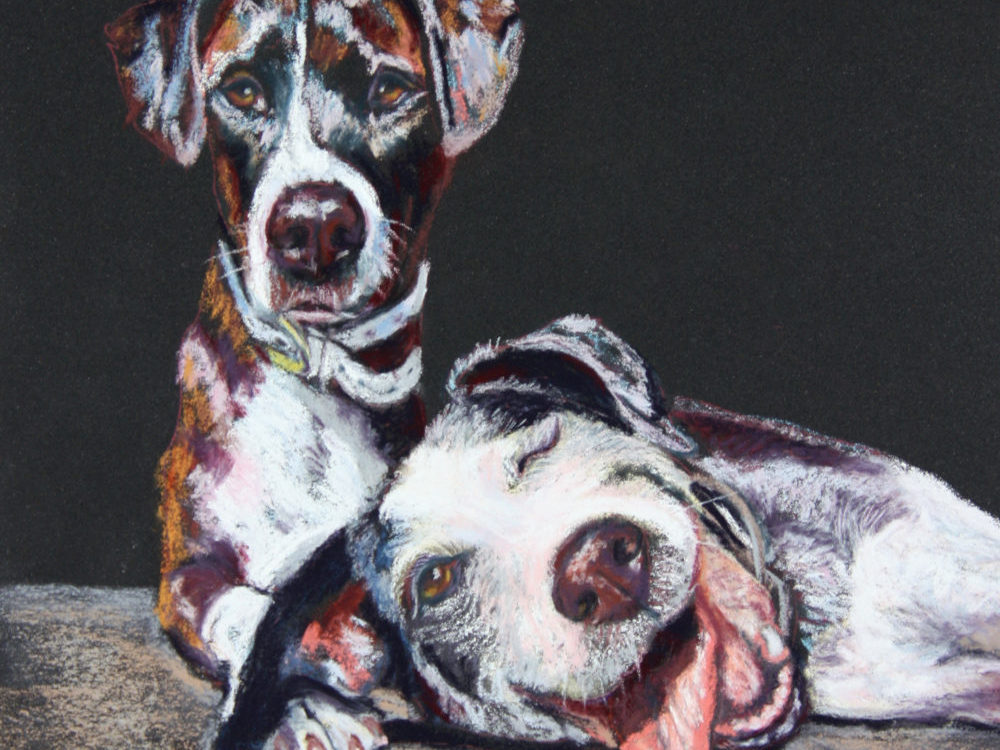 Commissioned pastel painting on black Art Spectrum paper 12″x9″ by dog portrait artist Lesley Zoromski, Petaluma, CA