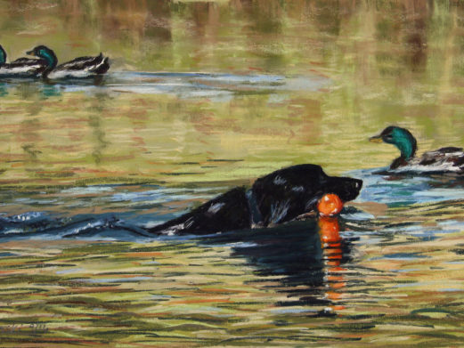 Unframed pastel painting of dog retrieving in water by dog portrait artist Lesley Zoromski, Petaluma, CA