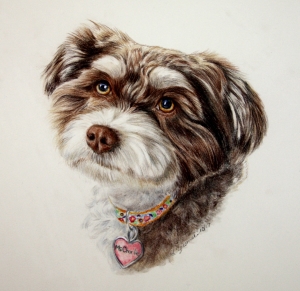 color pencil commissions of dogs