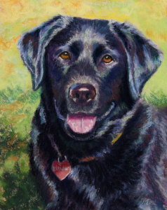 black labrador in a pastel painting