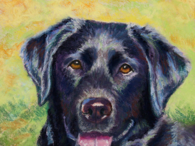 Ireland - painting by dog portrait artist Lesley Zoromski, Petaluma, CA 