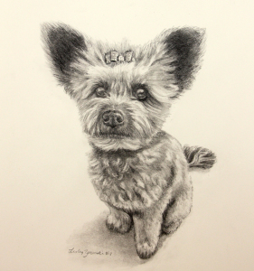 dog portrait commission