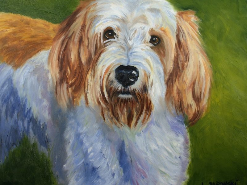 ruby - dog portrait in pastel by Lesley Zoromski, Petaluma, CA