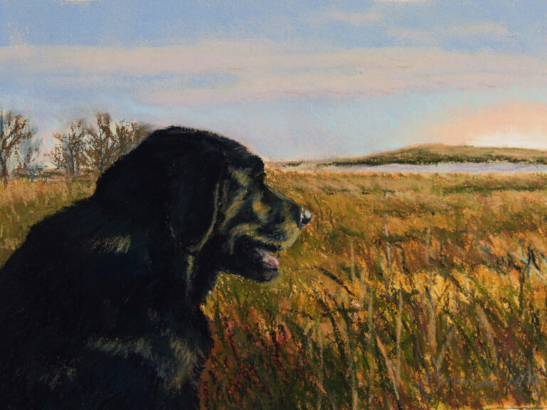 Ireland - painting by dog portrait artist Lesley Zoromski, Petaluma, CA