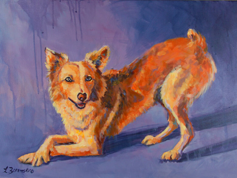 “Macy” is done with color pencil/water color paint on an 14″x11″ piece of Strathmore paper by dog portrait artist Lesley Zoromski, Petaluma, CA