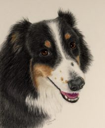 color pencil