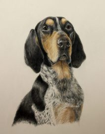 Hank-dog-portrait