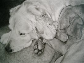New Friends in graphite 1o”x 15” $495