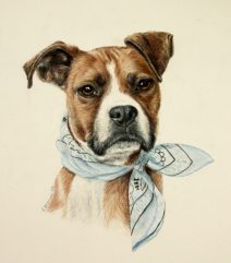 boxer dog custom art